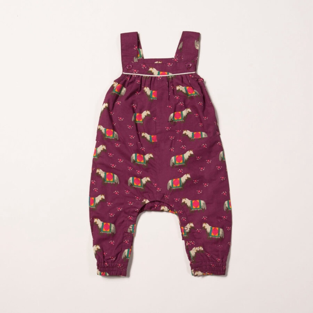 SOLD Little Green Radicals Winter Jumpsuit Dungarees 6-9M